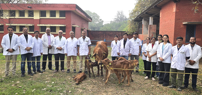 ICAR-IVRI Achieves Milestone in Indigenous Sahiwal Cattle Breeding