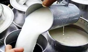 CPM Protests Vijaya Dairy Milk Price Hike in Andhra Pradesh