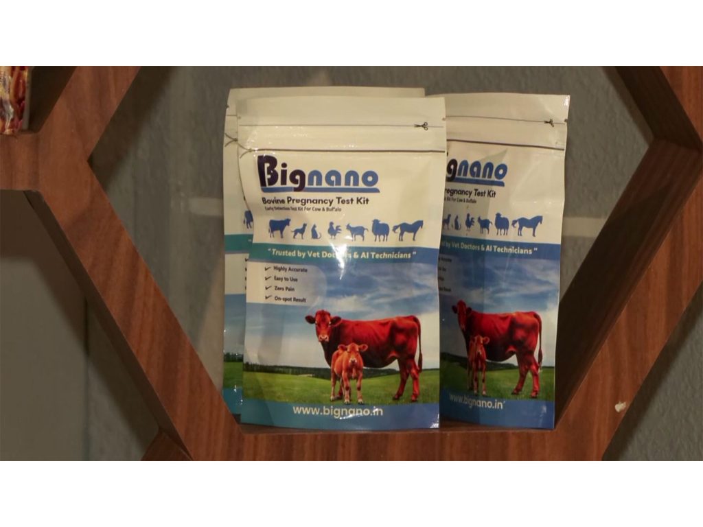 Early pregnancy detection kit transforms dairy herd management
