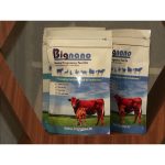 Early pregnancy detection kit transforms dairy herd management Early pregnancy detection kit transforms dairy herd management