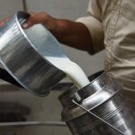 India’s Protein Surge by 2070 Centers on Dairy Expansion India’s Protein Surge by 2070 Centers on Dairy Expansion