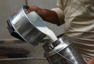 India’s Protein Surge by 2070 Centers on Dairy Expansion