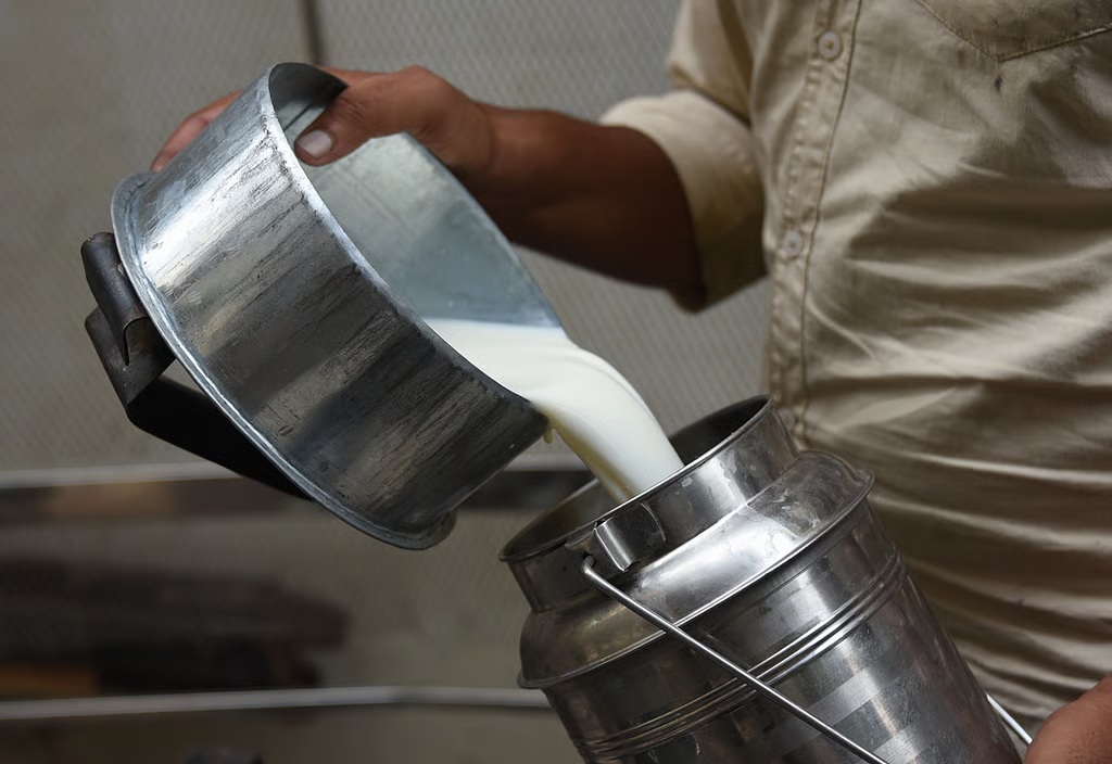 India’s Protein Surge by 2070 Centers on Dairy Expansion