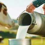 Karnataka Milk Unions Demand ₹8 Price Hike and Incentive Boost, Issue Three-Day Deadline Karnataka Milk Unions Demand ₹8 Price Hike and Incentive Boost, Issue Three-Day Deadline