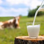 Karnataka Milk Unions Seek ₹8–10/Litre Hike in Nandini Procurement and Retail Prices Karnataka Milk Unions Seek ₹8–10 Litre Hike in Nandini Procurement and Retail Prices