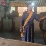 Karnataka Woman Turns Gruhalakshmi Aid into Thriving Puttur Dairy Enterprise