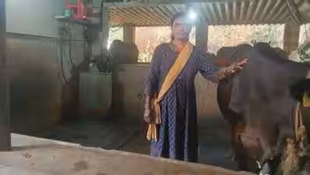 Karnataka Woman Turns Gruhalakshmi Aid into Thriving Puttur Dairy Enterprise