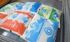 Karnataka evaluates retail milk hike amid cost squeeze
