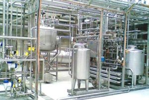 Kashmir plans embryo transfer lab to lift dairy yields