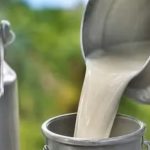 Milk Gets Costlier: Tamil Nadu Raises Procurement Price, Wholesale Prices in Mumbai Cross ₹100 Milk Gets Costlier Tamil Nadu Raises Procurement Price, Wholesale Prices in Mumbai Cross ₹100
