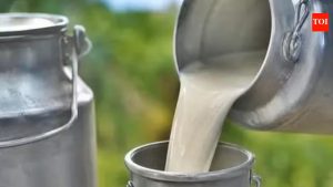 Milk Gets Costlier Tamil Nadu Raises Procurement Price, Wholesale Prices in Mumbai Cross ₹100