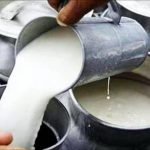 Milk Prices Set for Another Increase as Dairy Production and Feed Costs Climb in India