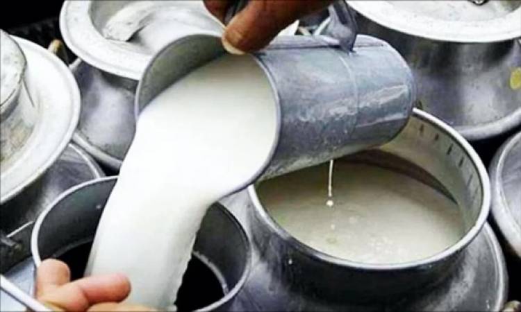 Milk Prices Set for Another Increase as Dairy Production and Feed Costs Climb in India