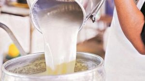 Parag Milk Foods in Focus After Board Approves ₹100 Cr Plan to Quadruple Daily Paneer Output