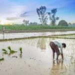 Tamil Nadu Lifts Farmgate Milk Procurement Prices Tamil Nadu Lifts Farmgate Milk Procurement Prices