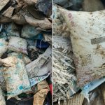 Branded milk packets found dumped in Navi Mumbai mangroves amid FDA sweeps