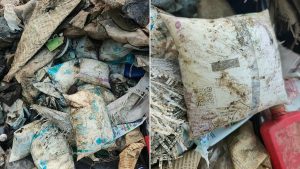 Branded milk packets found dumped in Navi Mumbai mangroves amid FDA sweeps