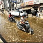 Dairy waste management crisis impacts Ludhiana herds Dairy waste management crisis impacts Ludhiana herds