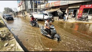 Dairy waste management crisis impacts Ludhiana herds