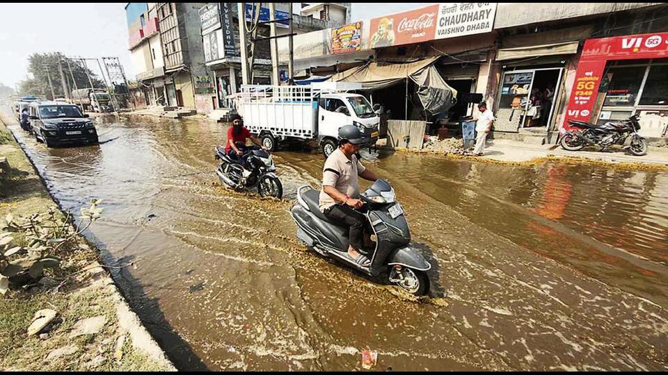 Dairy waste management crisis impacts Ludhiana herds