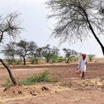 Drought animal nutrition solutions emerge across Karnataka