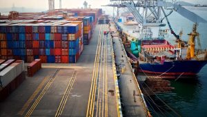FTAs unlock major export channels as India safeguards domestic dairy sector
