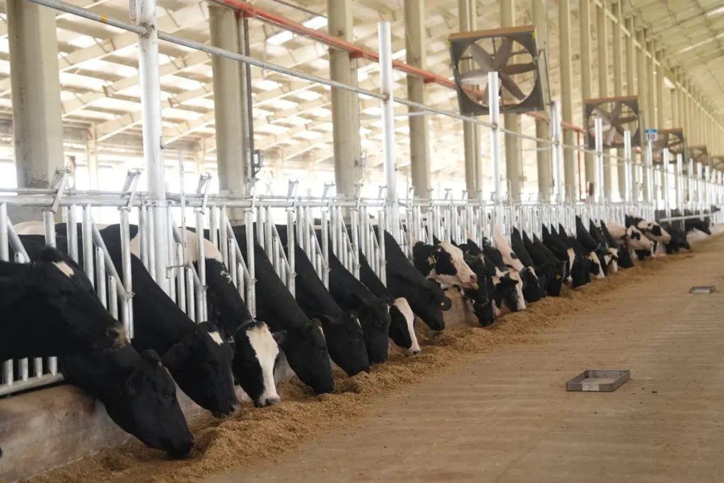 Gujarat opens ₹325-crore cattle breeding centre to produce 25,000 bovine embryos annually