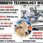 India launches Rs 325-crore bovine breeding centre in Banaskantha India launches Rs 325-crore bovine breeding centre in Banaskantha