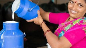 India tackles dairy wastage through cold chain and inventory reform