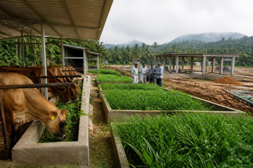 Kerala advances dairy college and Rs 6.4 crore farm upgrades