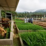 Kerala advances dairy college and Rs 6.4 crore farm upgrades Kerala advances dairy college and Rs 6.4 crore farm upgrades