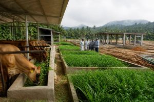 Kerala advances dairy college and Rs 6.4 crore farm upgrades