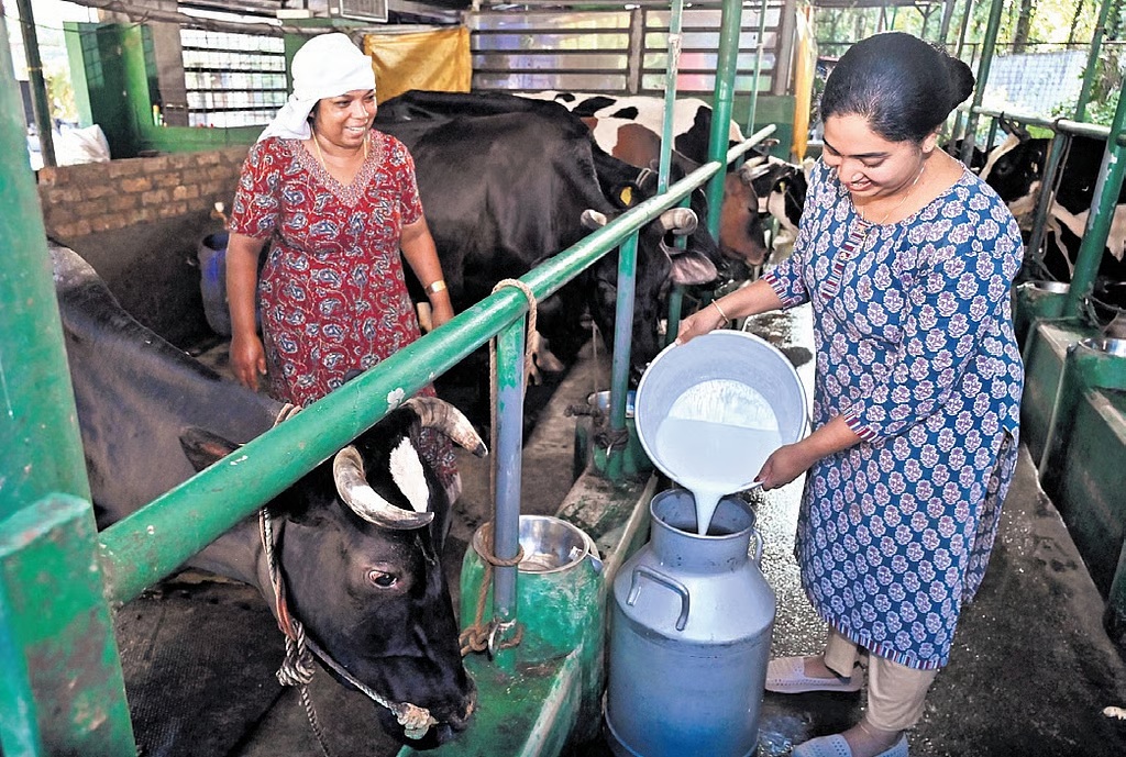 Kerala producer champions dairy value addition and direct sales