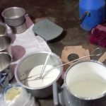 Maharashtra FDA uncovers synthetic milk adulteration network