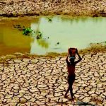Maharashtra launches silage scheme to protect dairy herds Maharashtra launches silage scheme to protect dairy herds