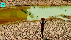 Maharashtra launches silage scheme to protect dairy herds