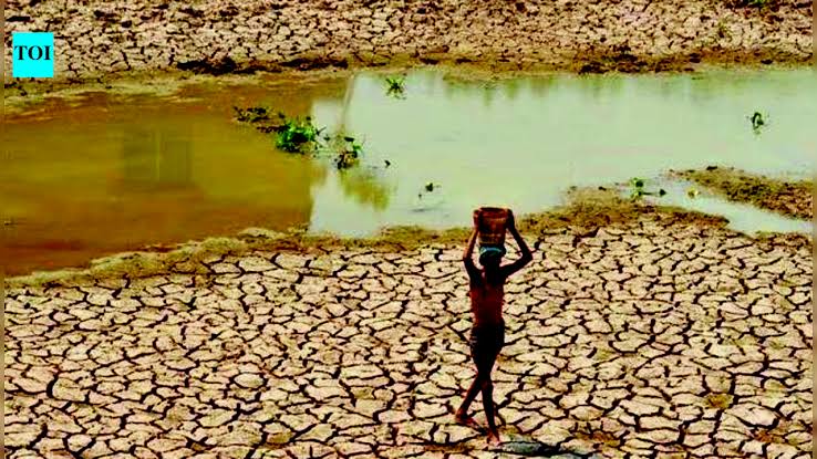 Maharashtra launches silage scheme to protect dairy herds