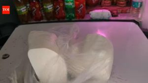 Nearly 70 percent of paneer samples fail quality tests in Jharkhand state food lab