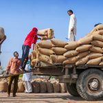 Odisha to support 5,000 integrated farmers with dairy development schemes