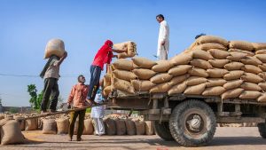 Odisha to support 5,000 integrated farmers with dairy development schemes
