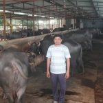 Severe fodder crisis threatens Indian dairy farmers Severe fodder crisis threatens Indian dairy farmers