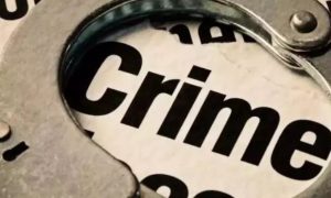 Six booked in Ballari milk union cattle insurance scam