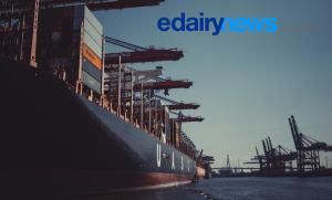 Global Dairy Trade rises 1.2%: what's next for milk?